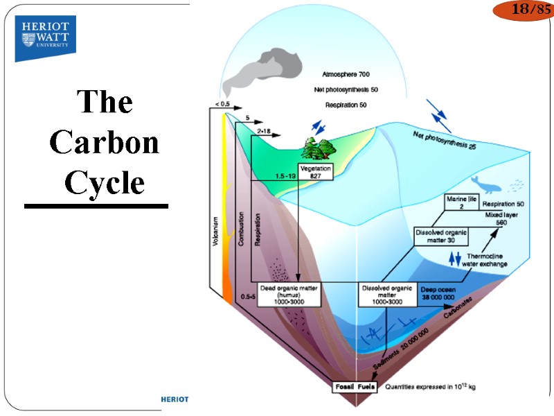 The Carbon Cycle 18/85